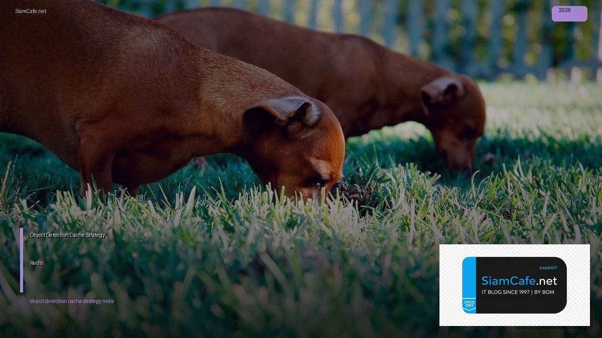 object detection cache strategy redis