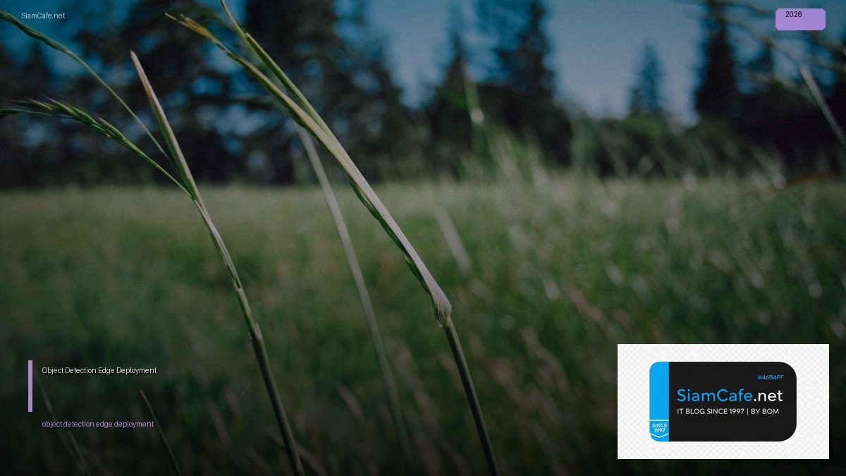 object detection edge deployment