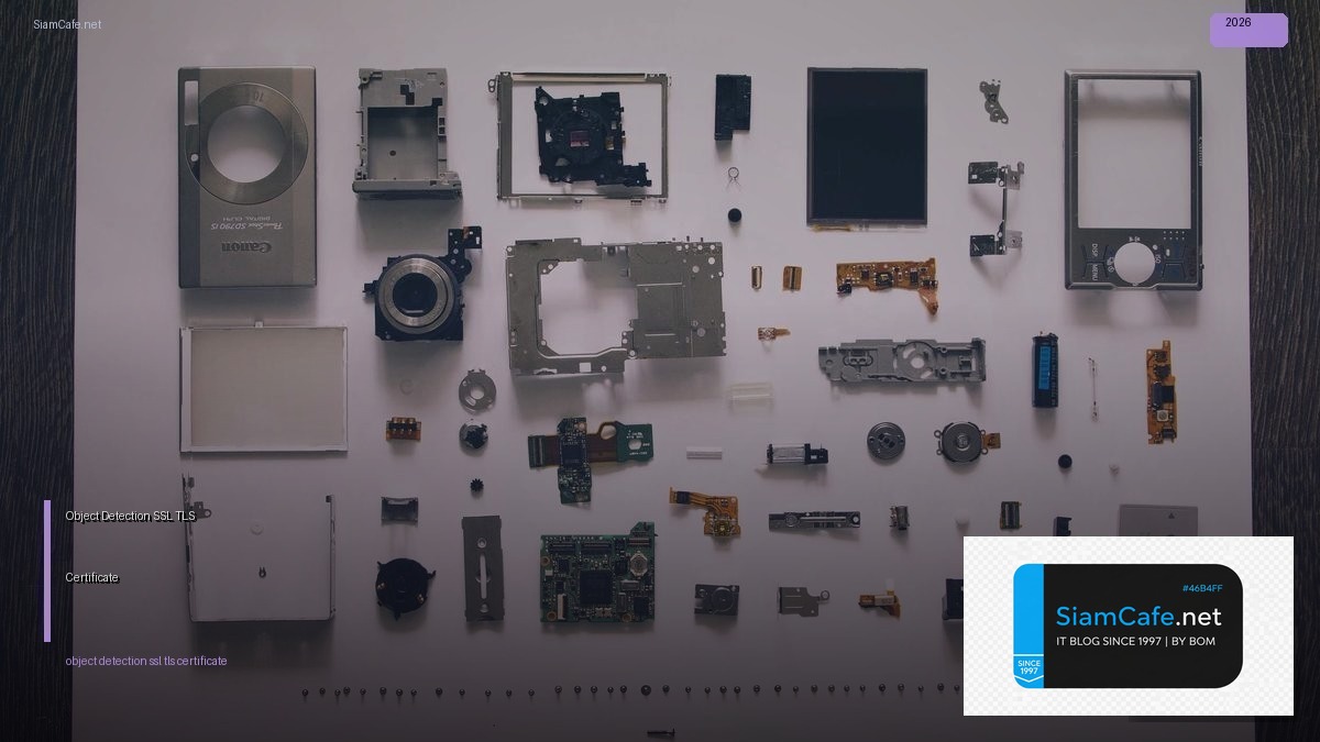 Object Detection SSL TLS Certificate — คู่มือฉบับสมบูรณ์ 2026 | SiamCafe Blog