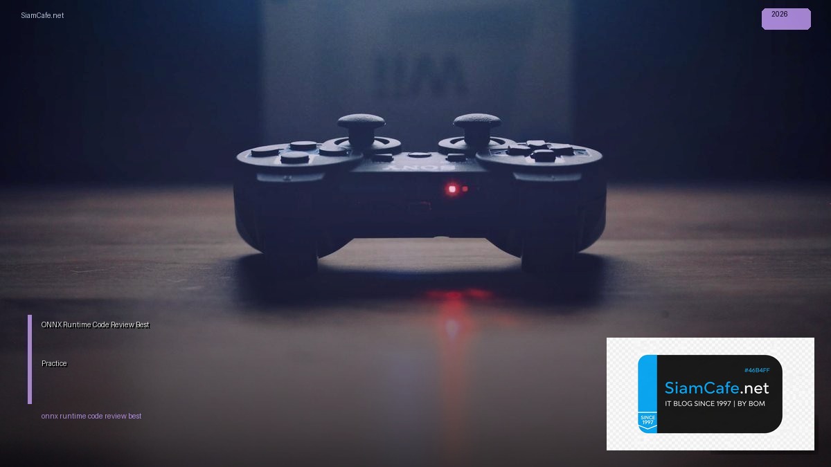 onnx runtime code review best practice