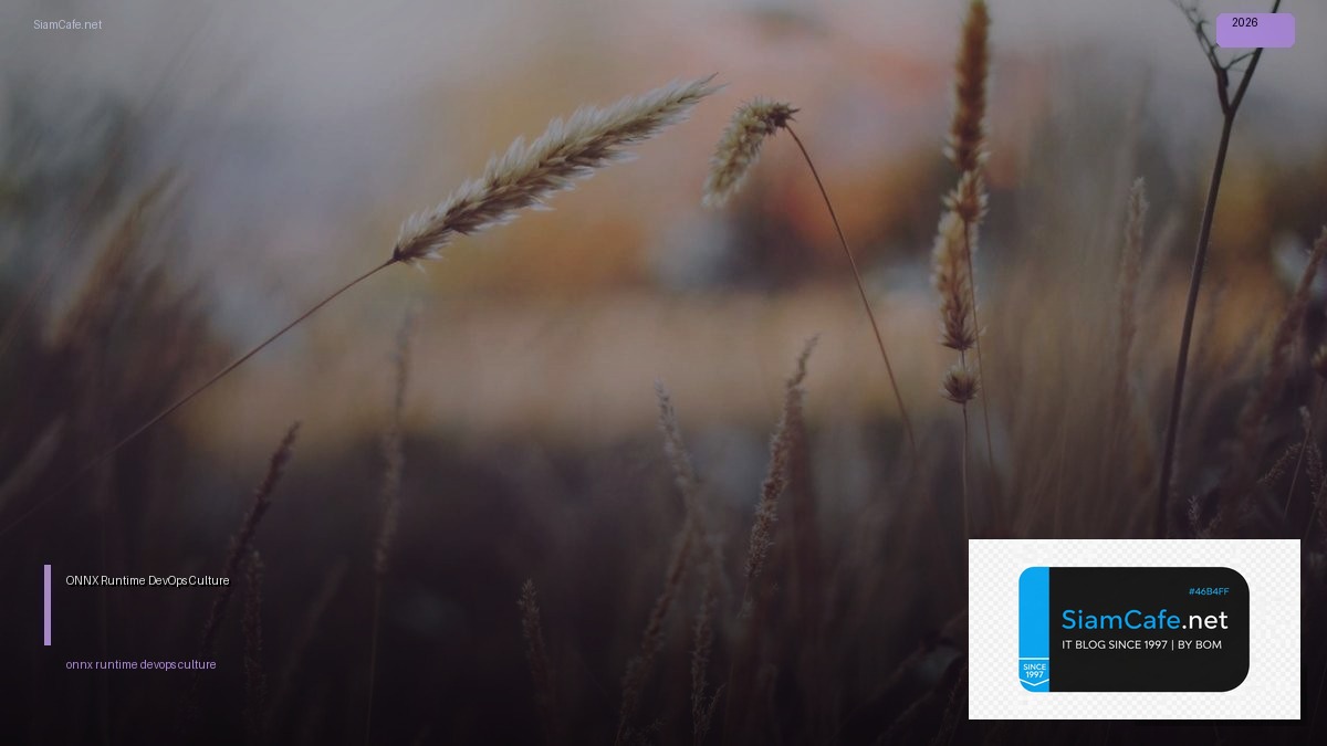 onnx runtime devops culture