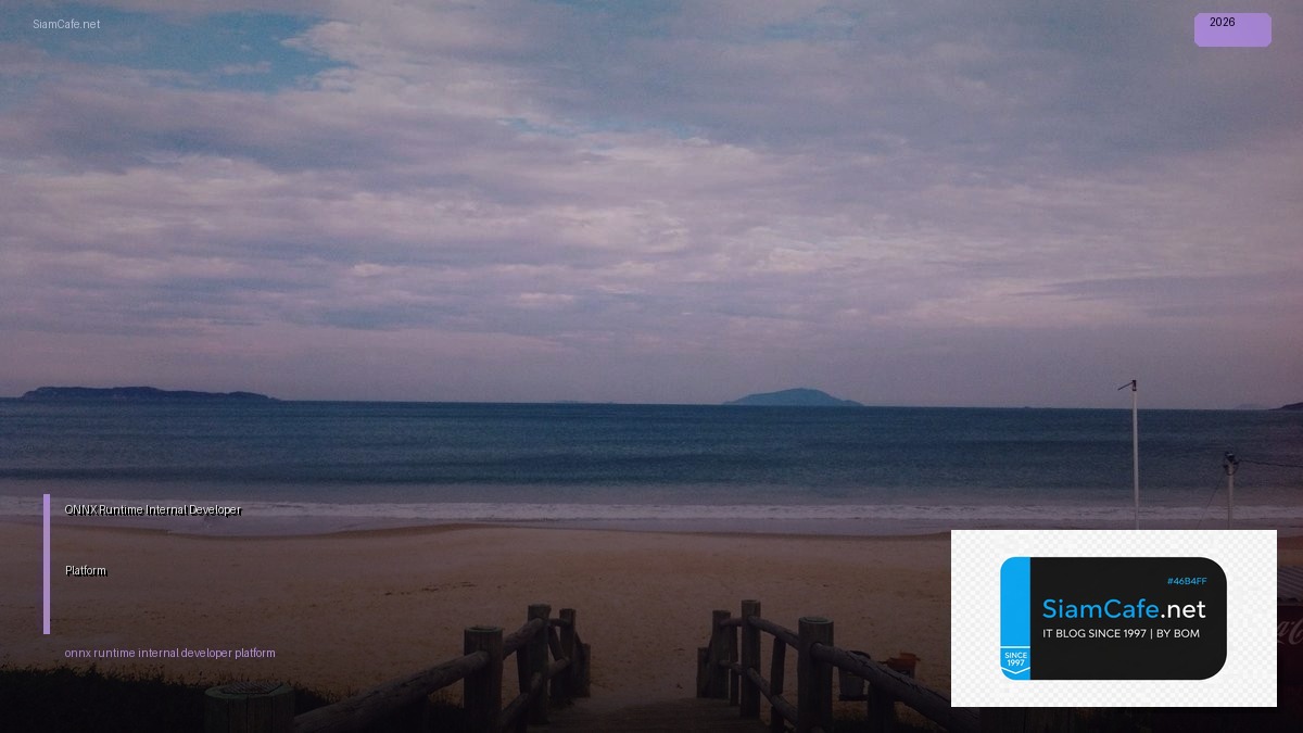 onnx runtime internal developer platform