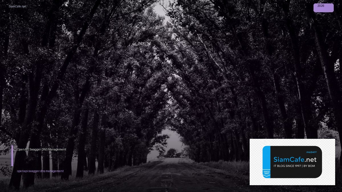 openapi swagger dns management