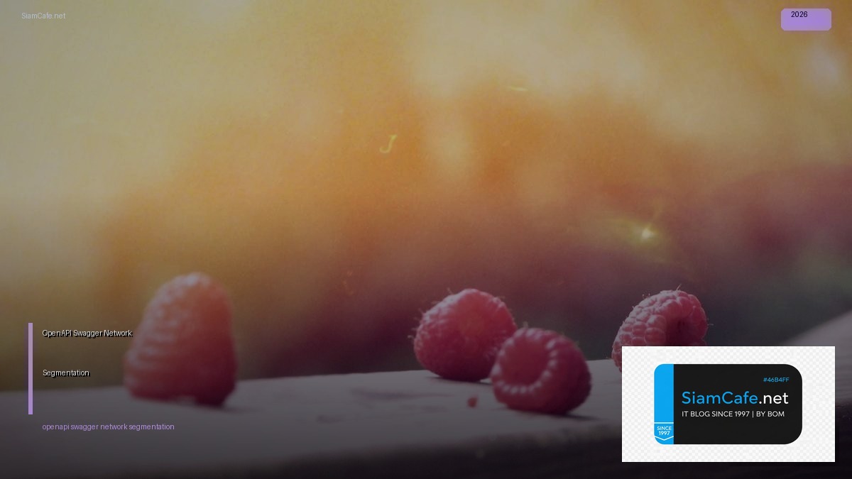 openapi swagger network segmentation