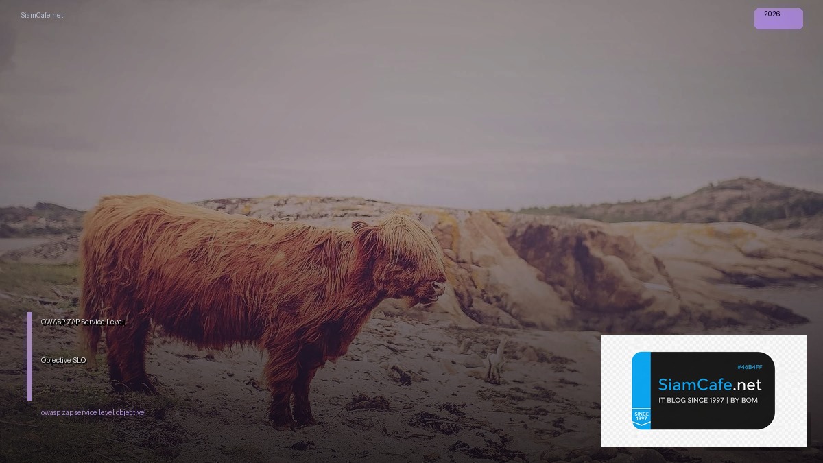 owasp zap service level objective slo