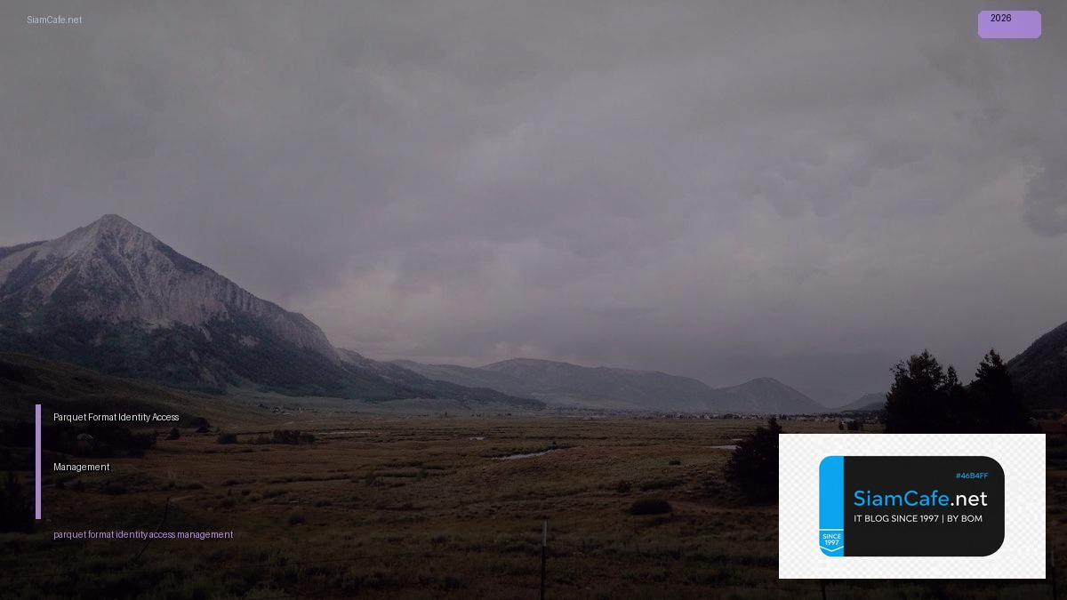 parquet format identity access management