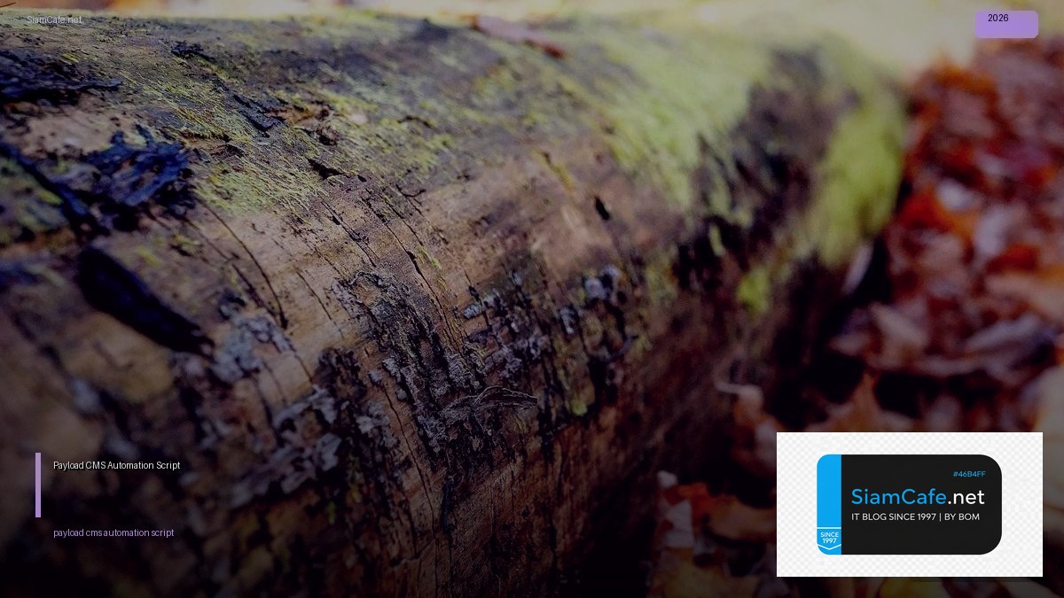 payload cms automation script