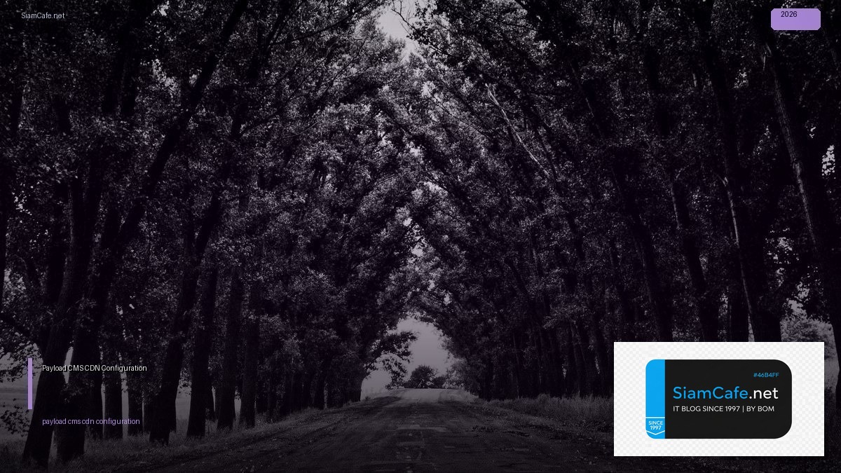 payload cms cdn configuration