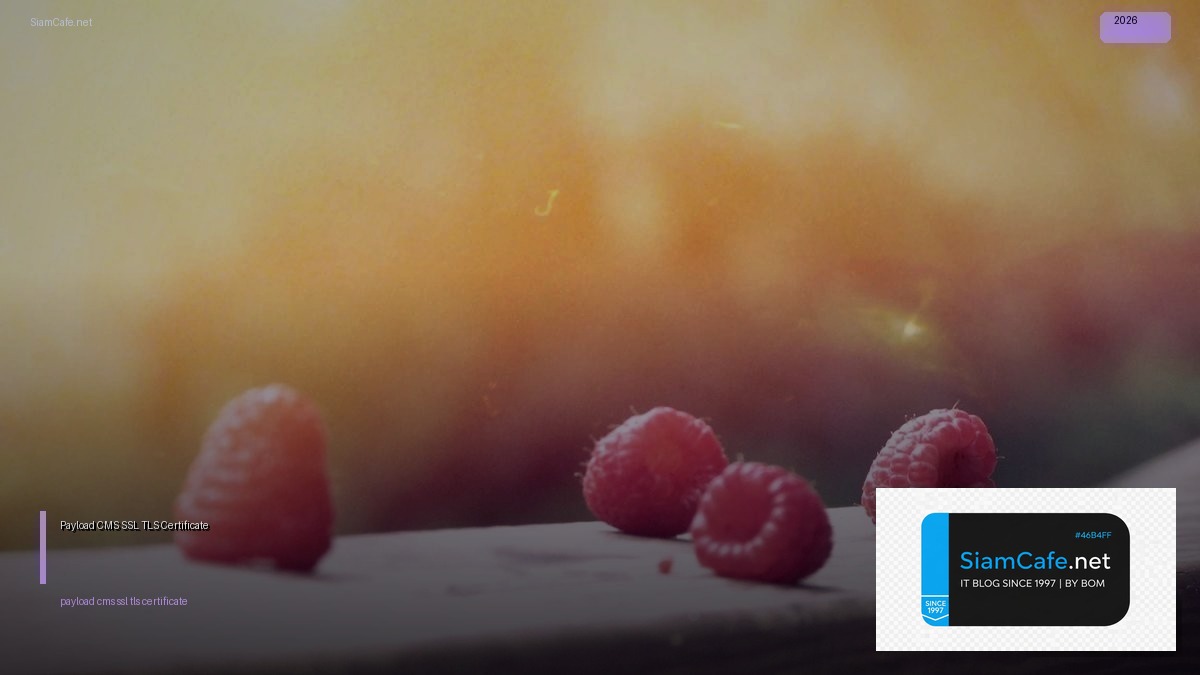 Payload CMS SSL TLS Certificate | SiamCafe Blog