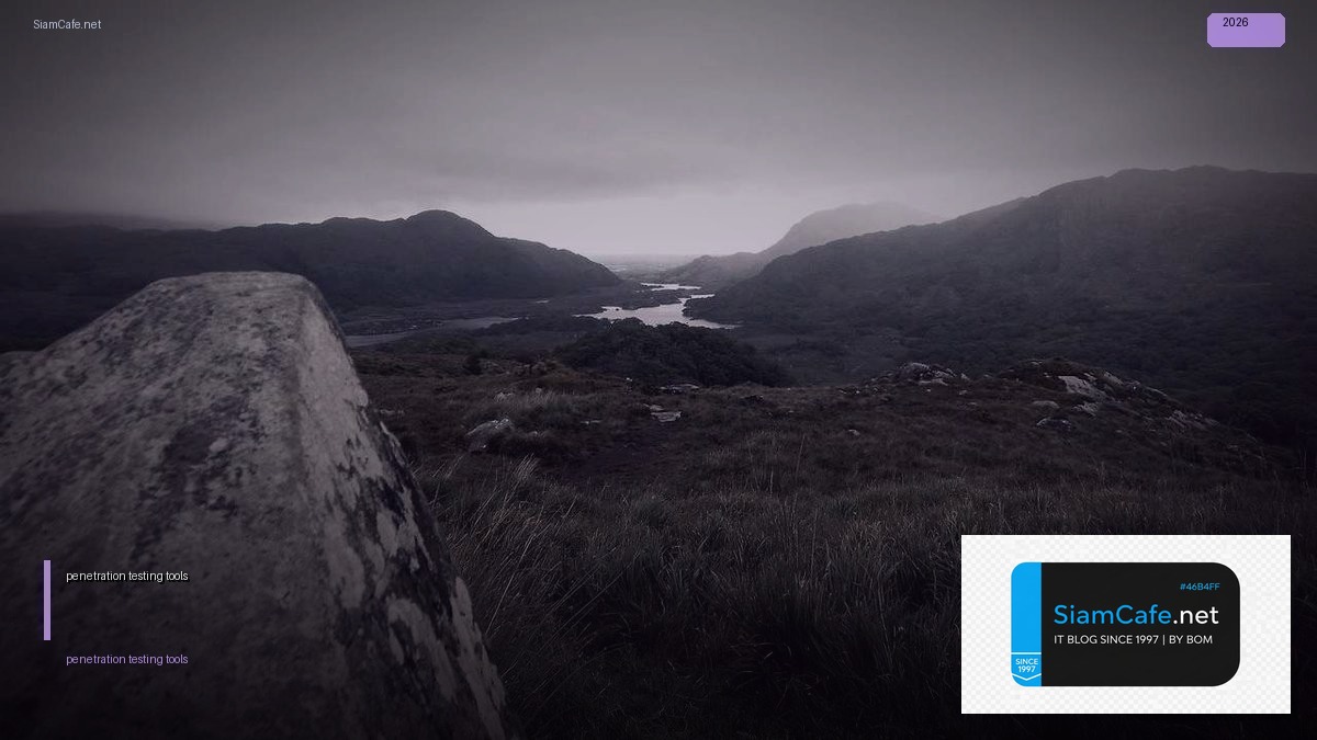 penetration testing tools 2022