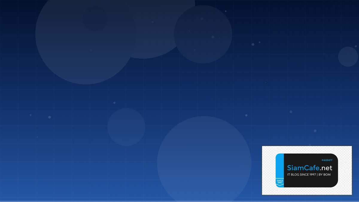 Pet Rock | SiamCafe Blog