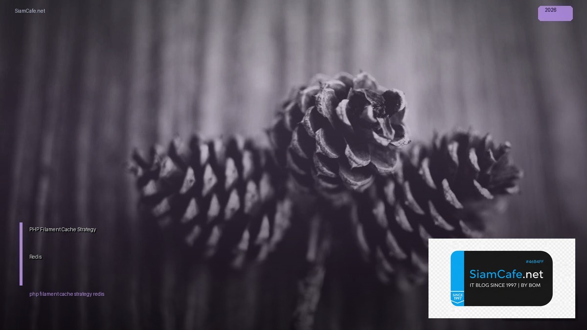 php filament cache strategy redis