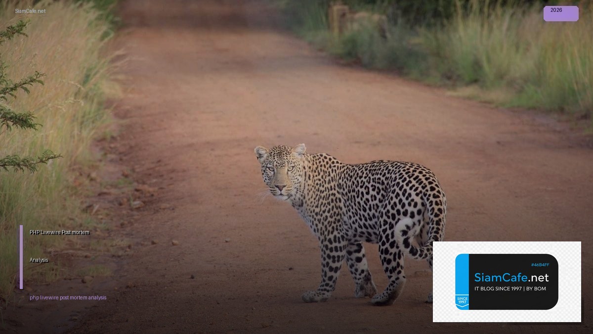 php livewire post mortem analysis