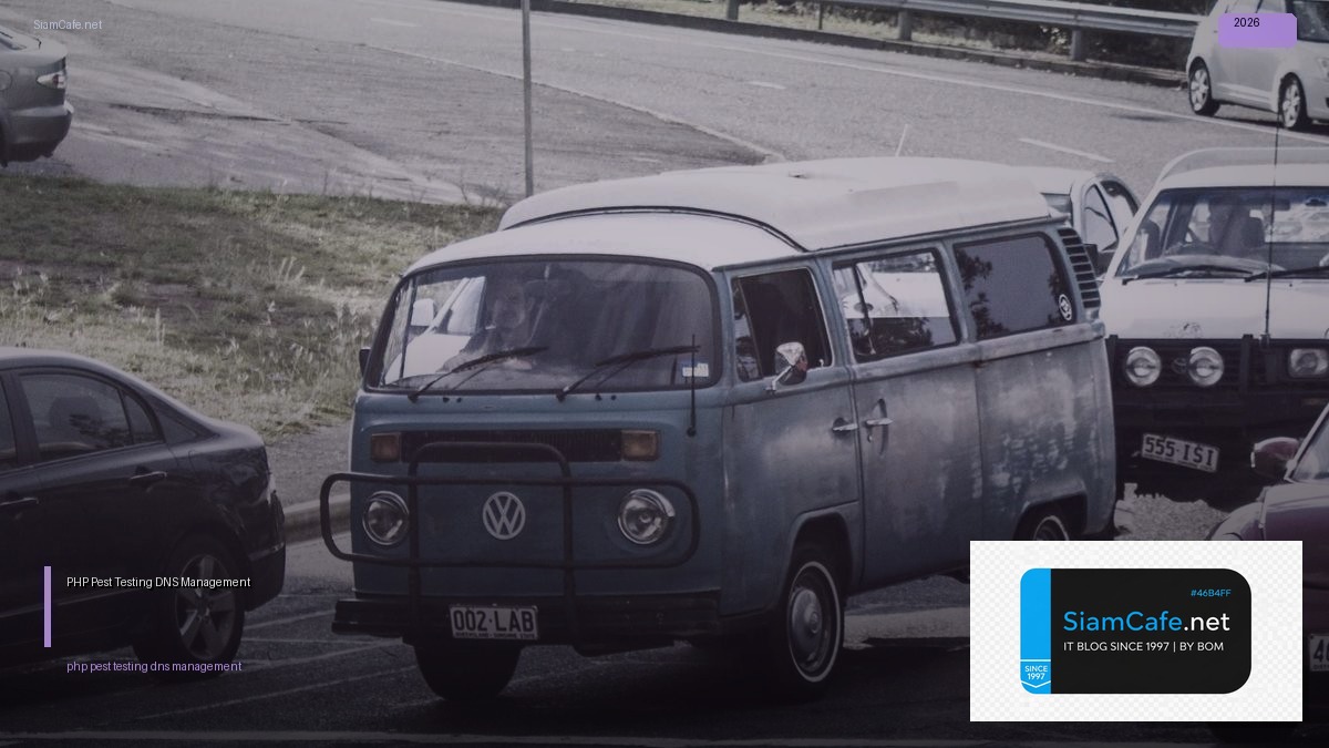 php pest testing dns management