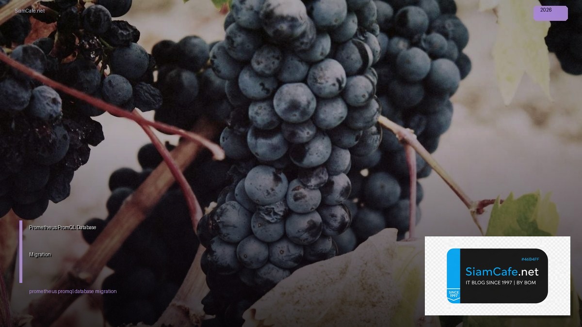 prometheus promql database migration