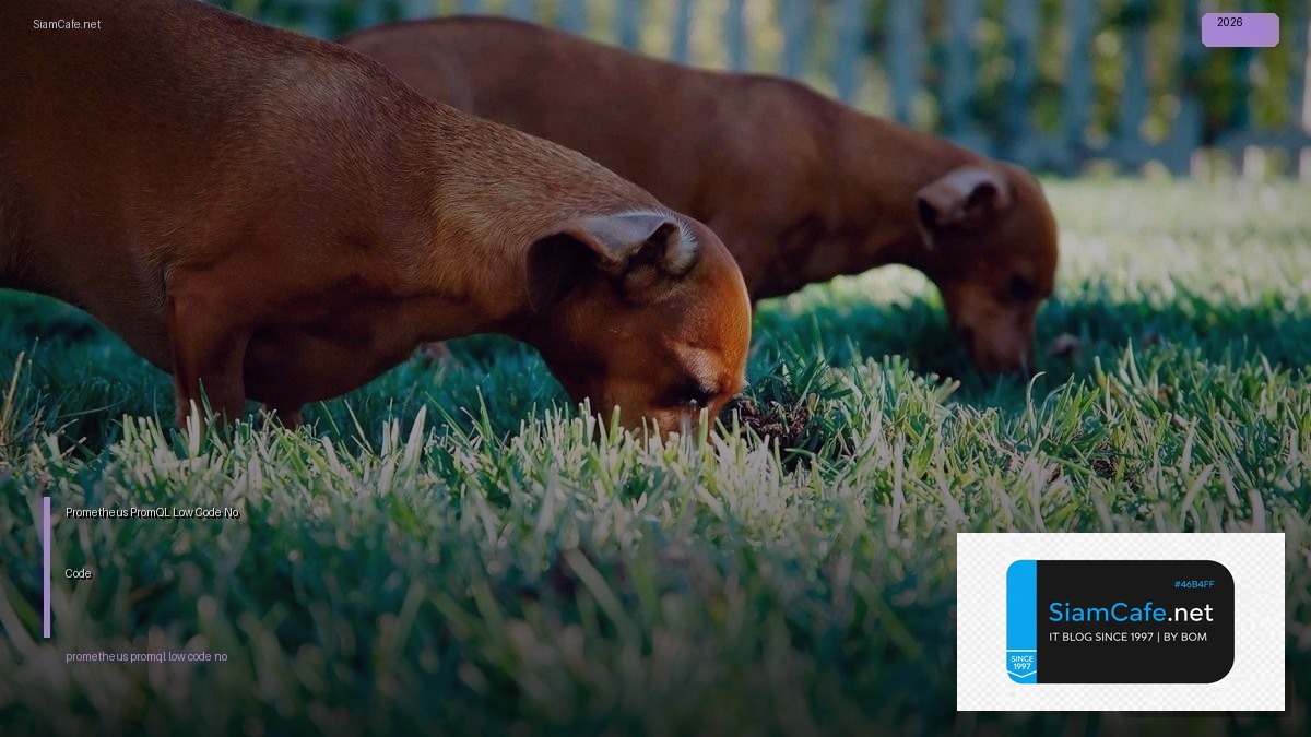 prometheus promql low code no code