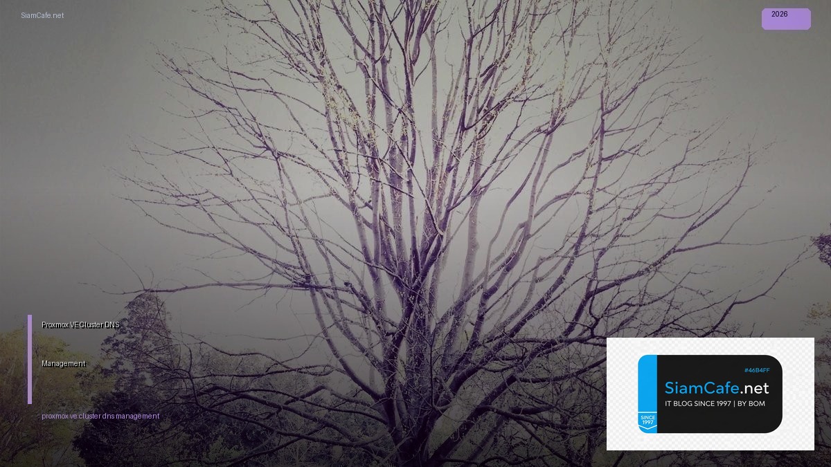 proxmox ve cluster dns management