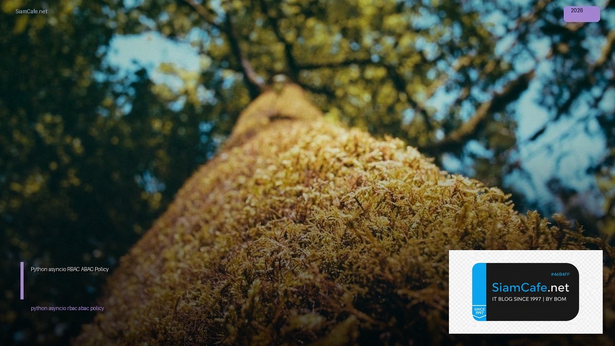 python asyncio rbac abac policy