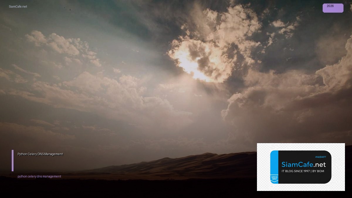 python celery dns management