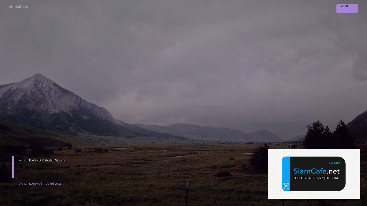 python poetry distributed system