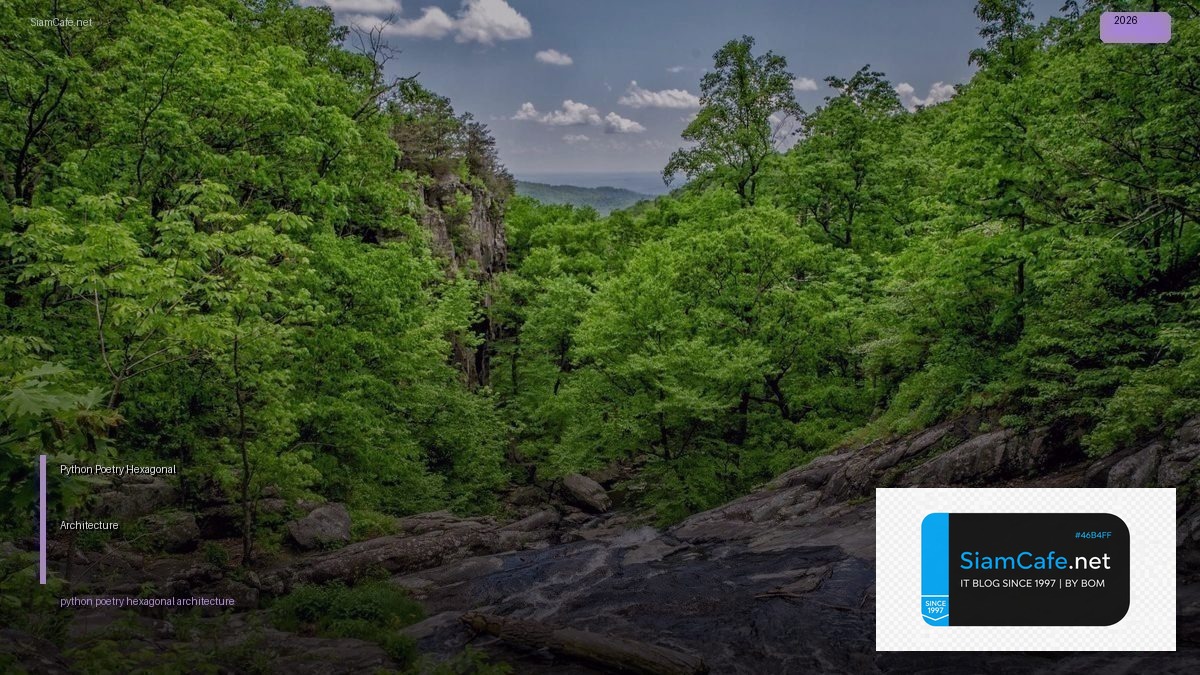 python poetry hexagonal architecture