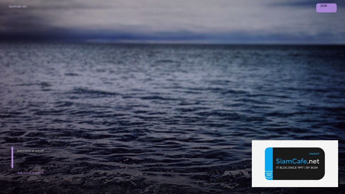 r data frame structure