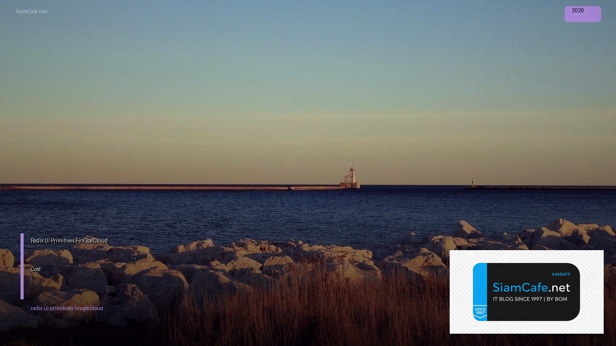 radix ui primitives finops cloud cost