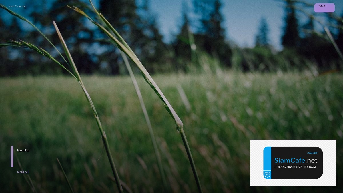 Raoul Pal — คู่มือฉบับสมบูรณ์ 2026 — คู่มือฉบับสมบูรณ์ 2026 | SiamCafe Blog