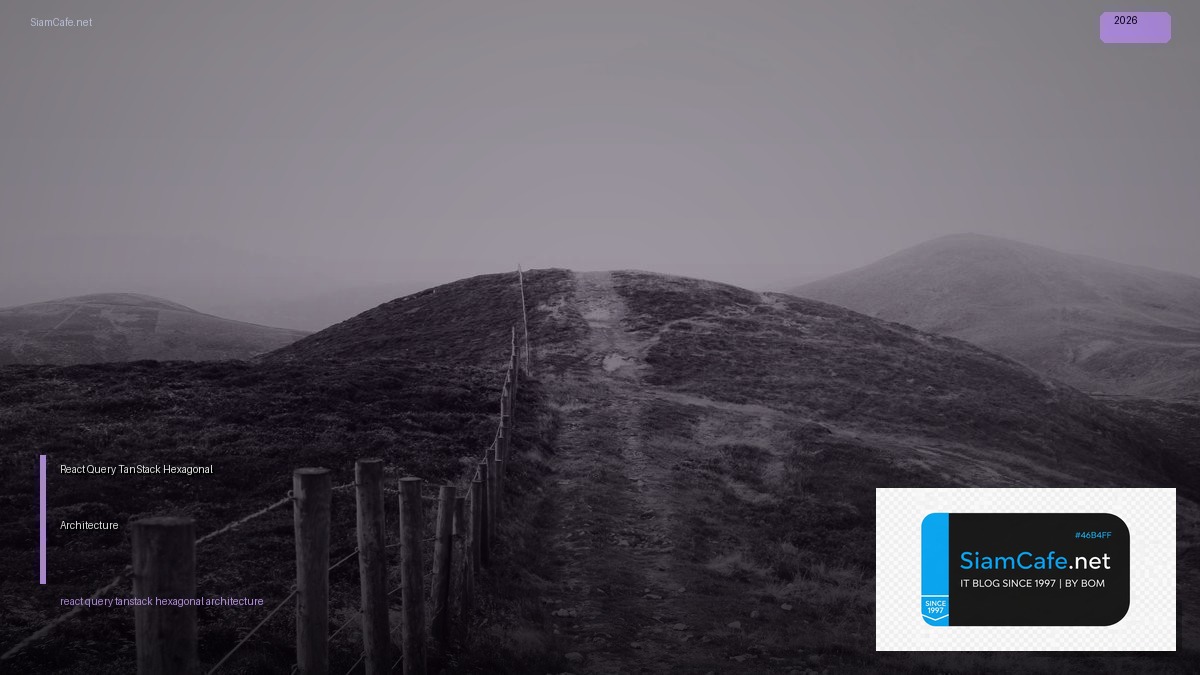 react query tanstack hexagonal architecture