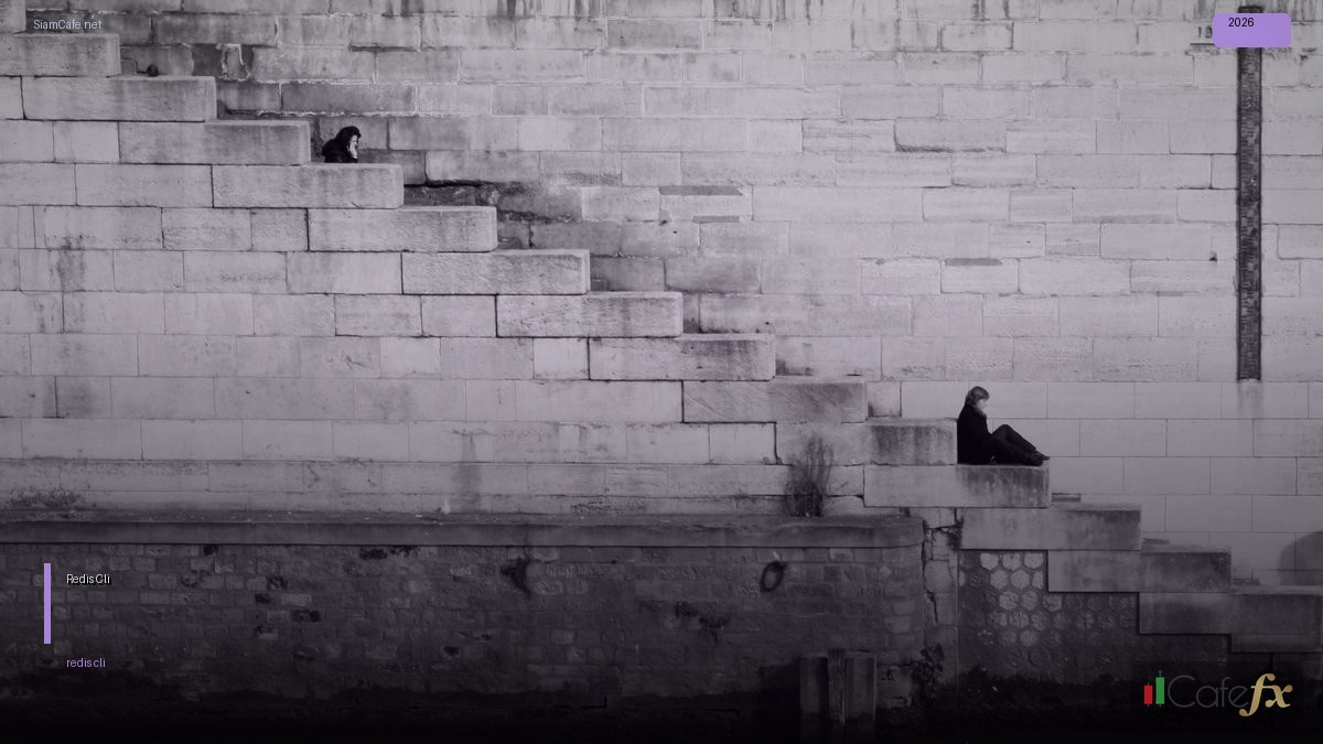 Redis Cli คืออะไร — คู่มือโปรแกรมมิ่ง 2026 — คู่มือฉบับสมบูรณ์ 2026 | SiamCafe Blog