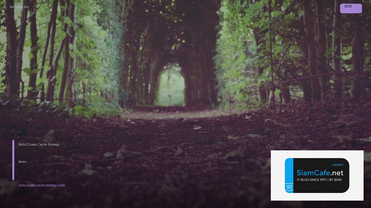 Redis Cluster Cache Strategy Redis — คู่มือฉบับสมบูรณ์ 2026 | SiamCafe Blog