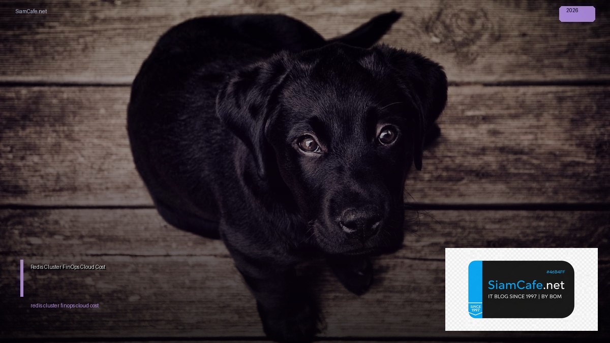 Redis Cluster FinOps Cloud Cost — คู่มือฉบับสมบูรณ์ 2026 | SiamCafe Blog