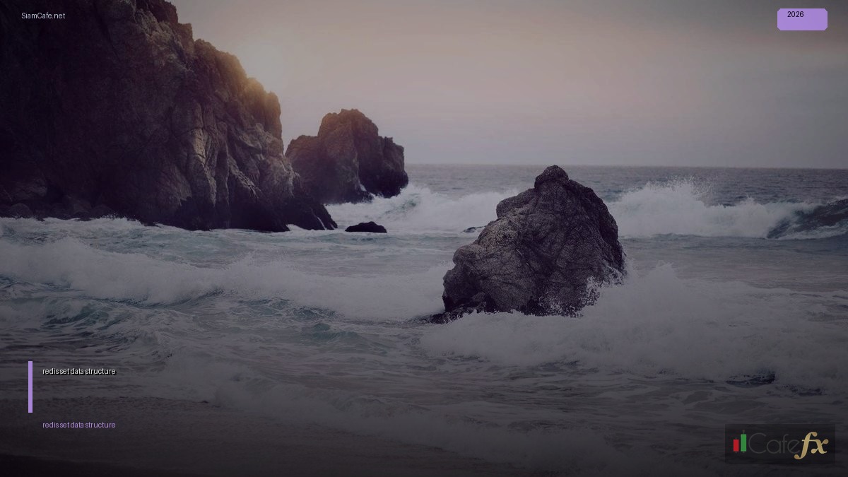 redis set data structure — คู่มือฉบับสมบูรณ์ 2026 | SiamCafe Blog