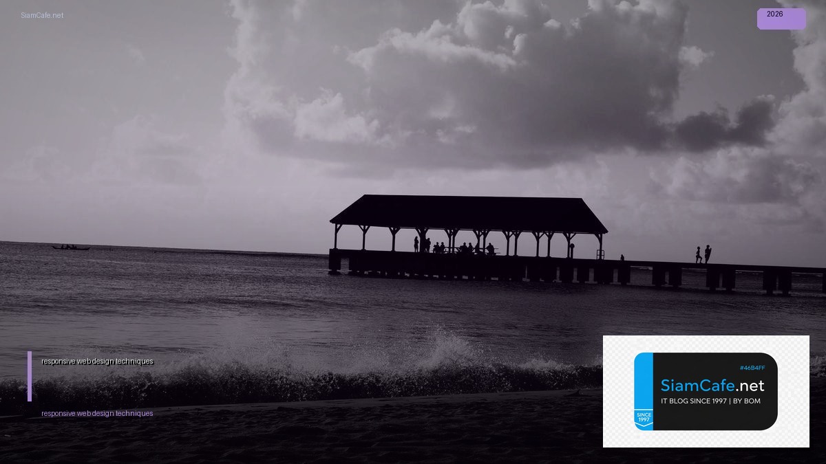 responsive web design techniques