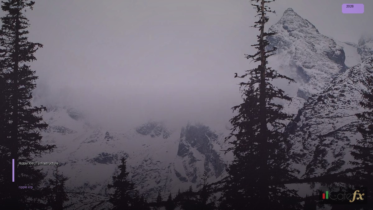 Ripple XRP — คู่มือ IT Infrastructure 2026 | SiamCafe Blog