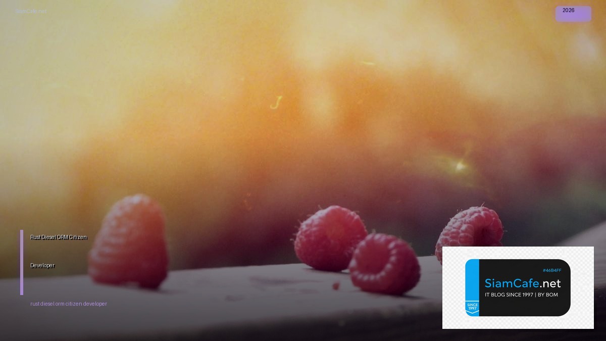 rust diesel orm citizen developer