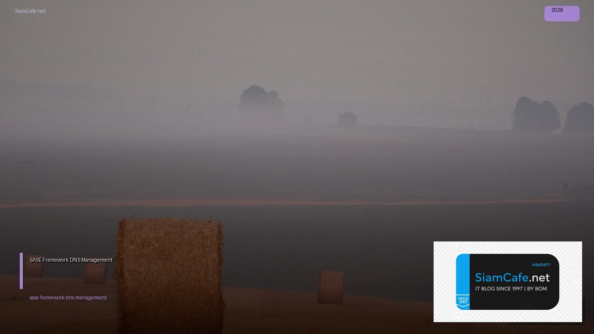 sase framework dns management