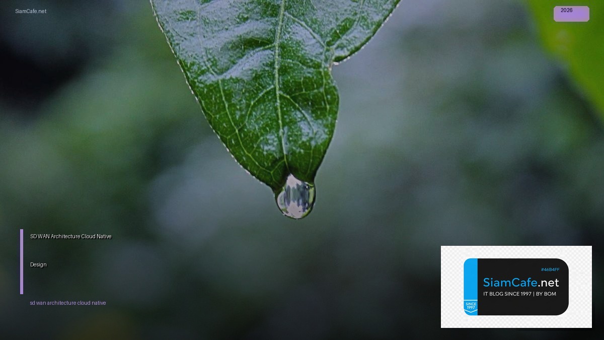 sd wan architecture cloud native design