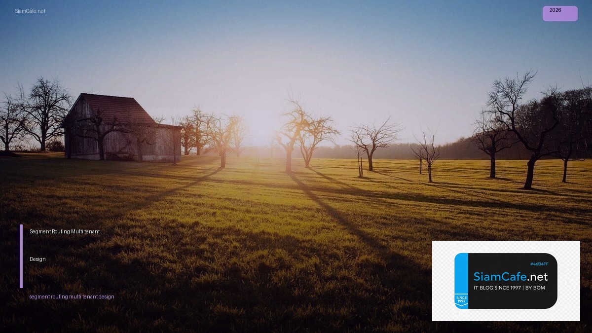 segment routing multi tenant design