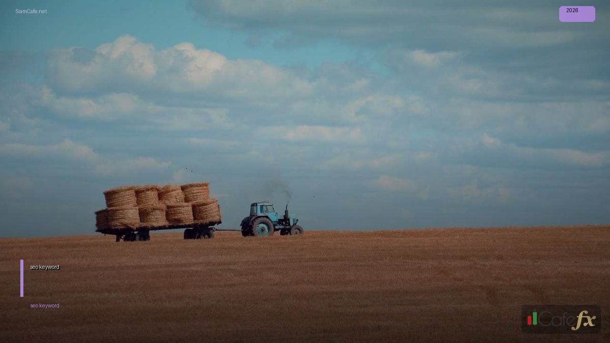 seo keyword คือ — คู่มือฉบับสมบูรณ์ 2026 | SiamCafe Blog