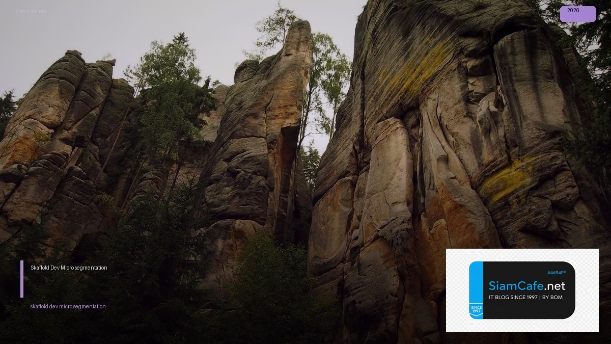 Skaffold Dev Micro-segmentation — คู่มือฉบับสมบูรณ์ 2026 | SiamCafe Blog