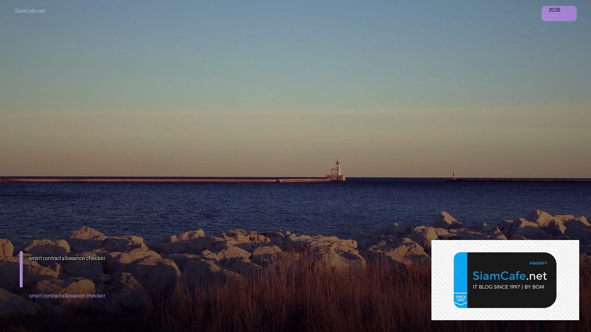 smart contract allowance checker