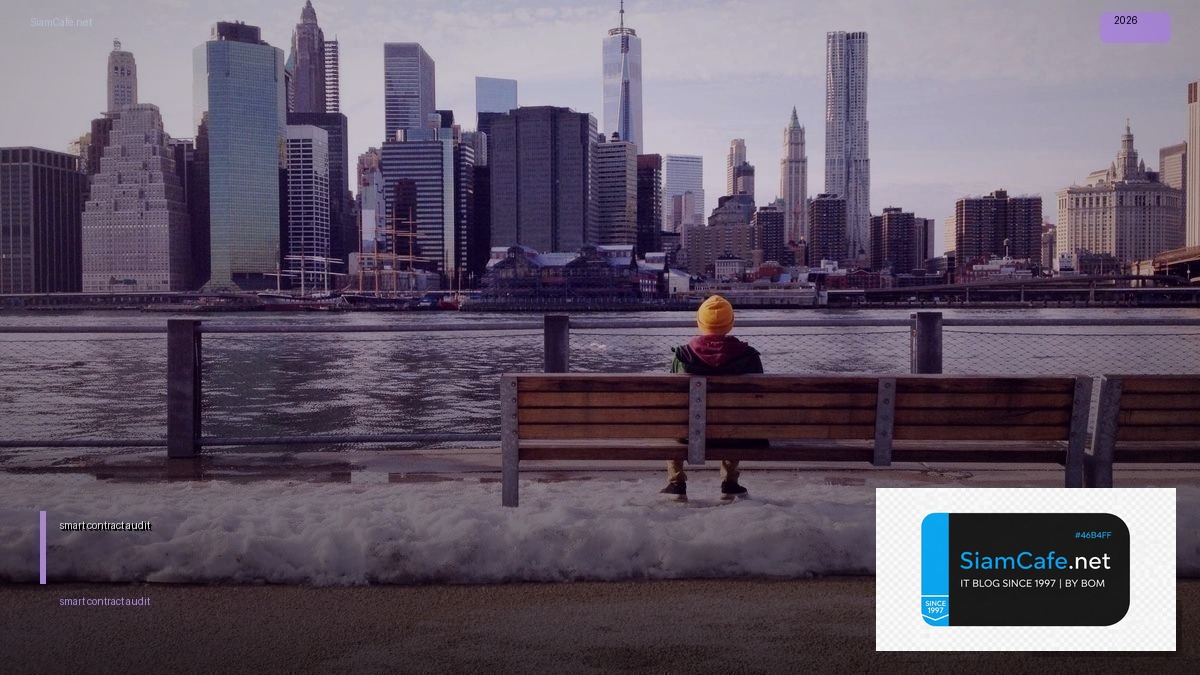 smart contract audit