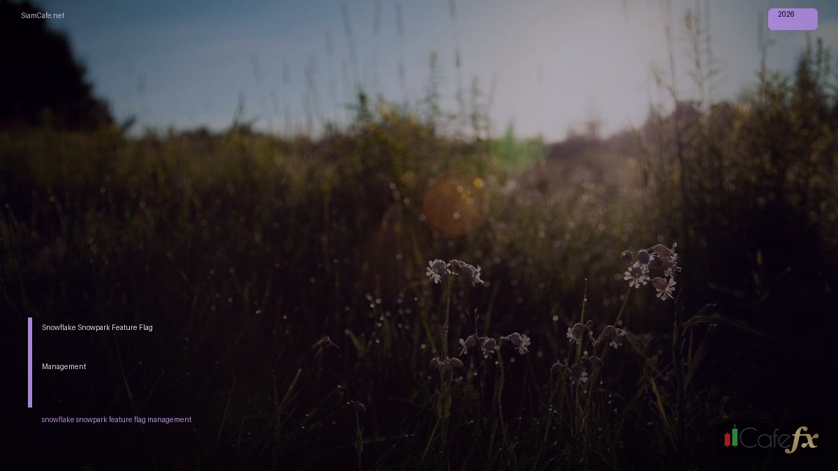 Snowflake Snowpark Feature Flag Management — คู่มือฉบับสมบูรณ์ 2026 | SiamCafe Blog