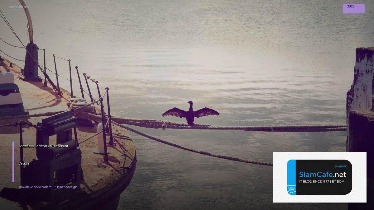 snowflake snowpark multi tenant design