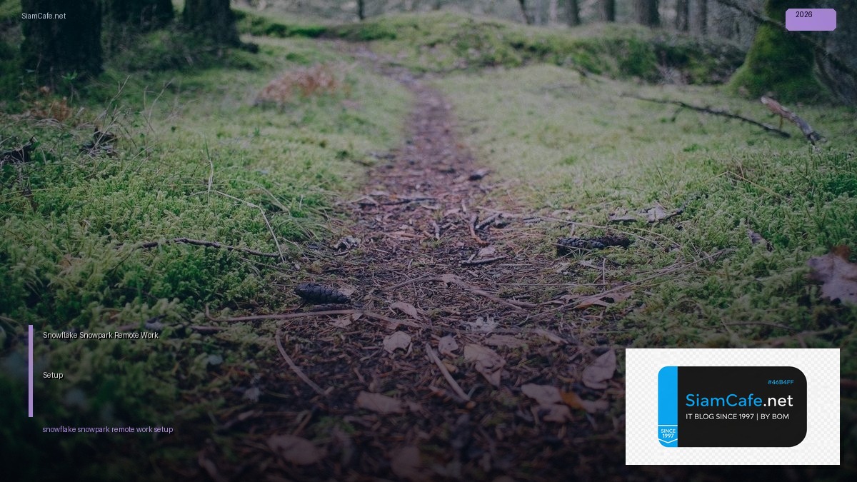 snowflake snowpark remote work setup