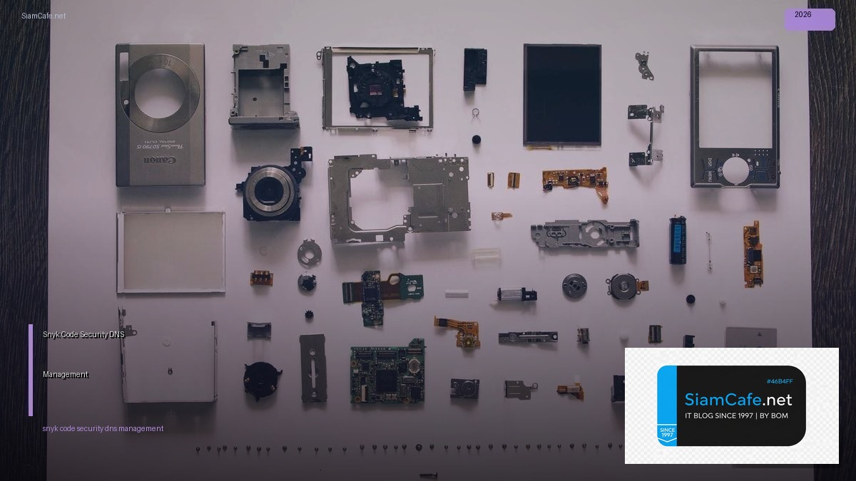 snyk code security dns management