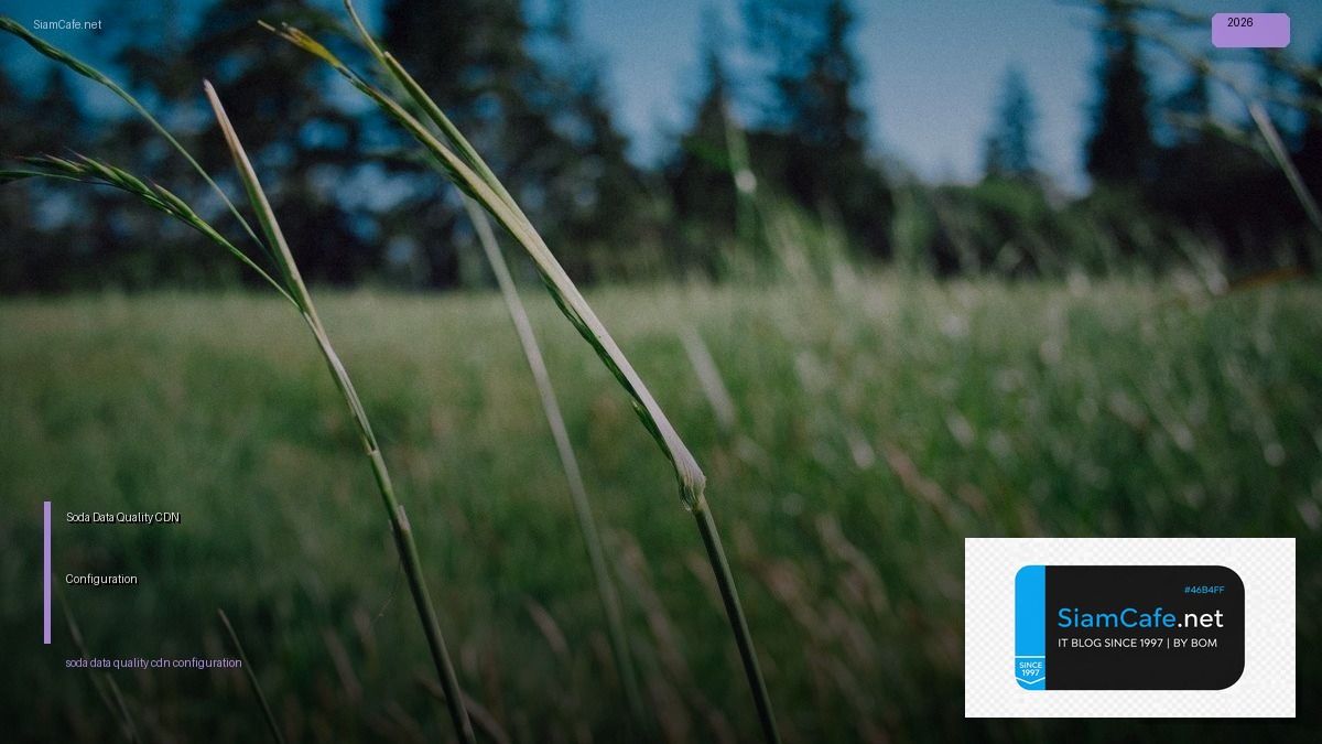 Soda Data Quality CDN Configuration | SiamCafe Blog
