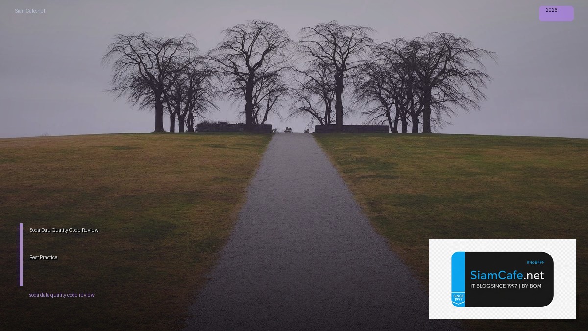 soda data quality code review best practice