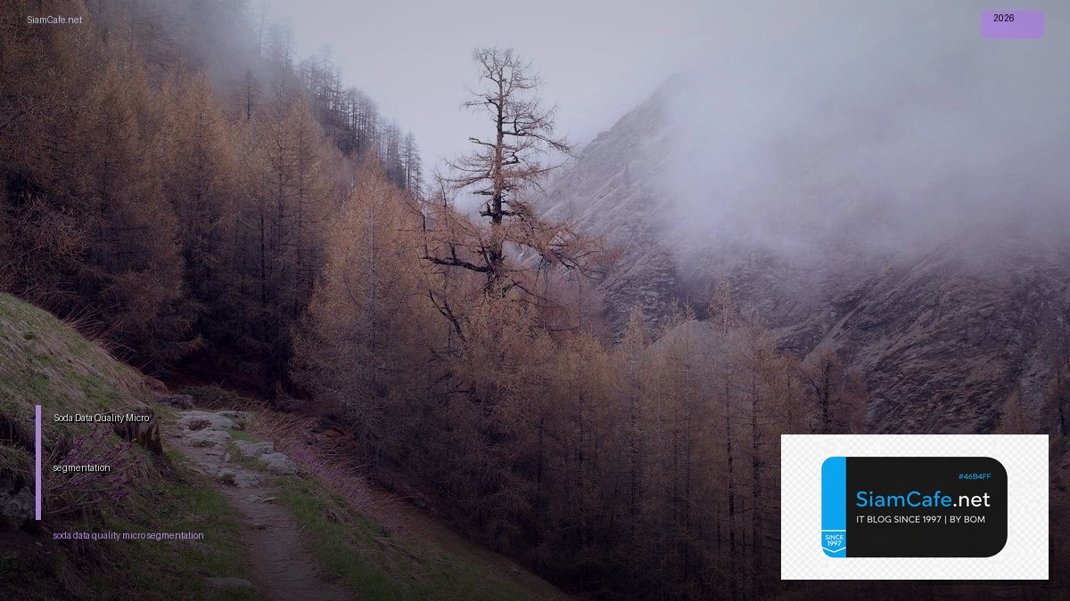 soda data quality micro segmentation